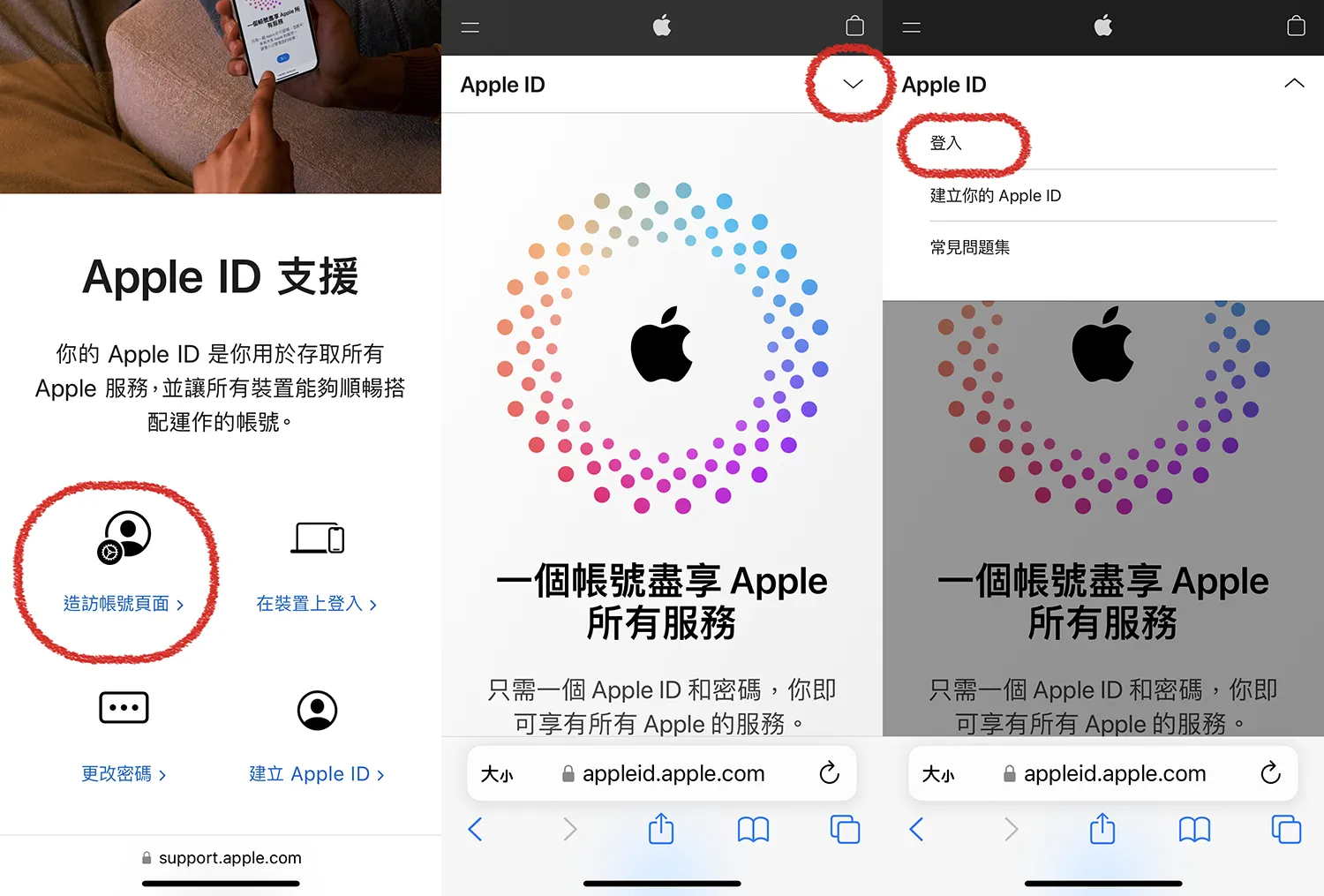 登录 Apple ID 支援