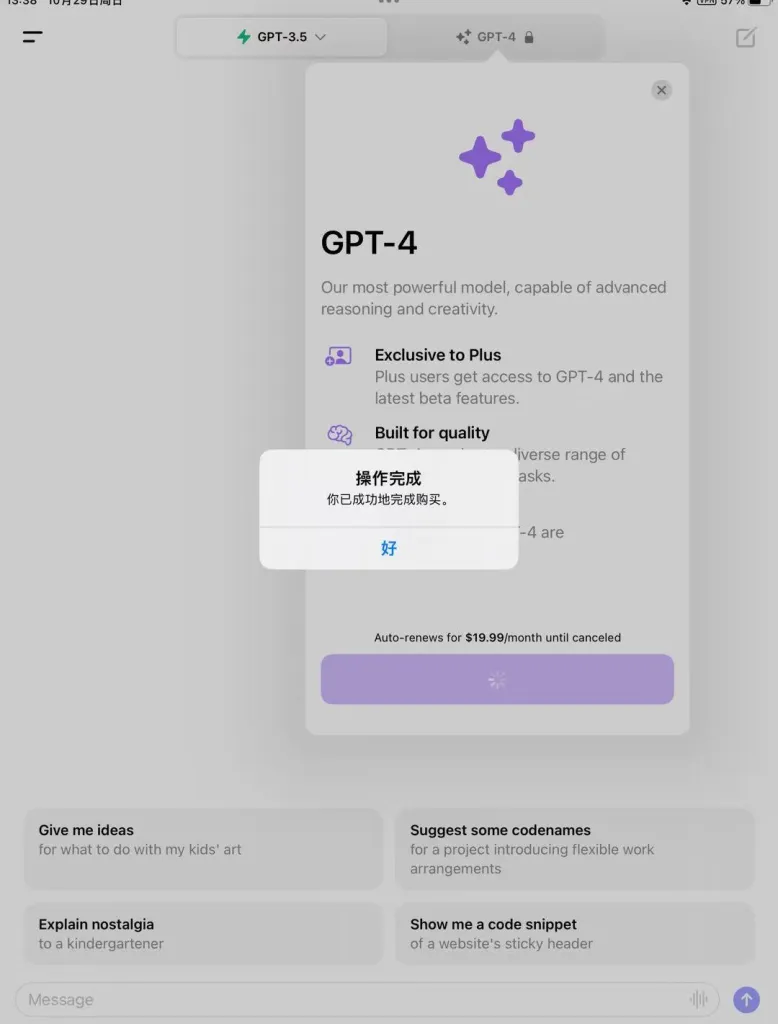 ChatGPT PLUS 订阅成功