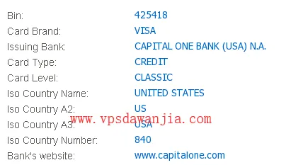 Capital One Visa虚拟信用卡卡头