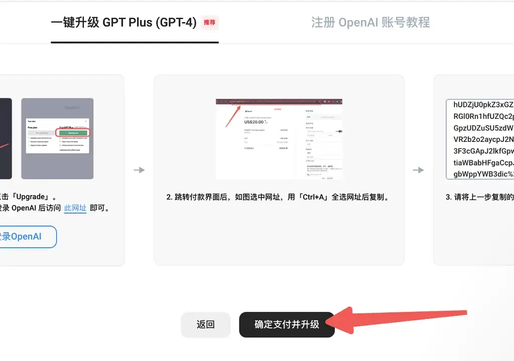 确认支付并升级