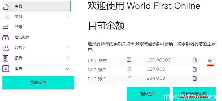 选择提现金额