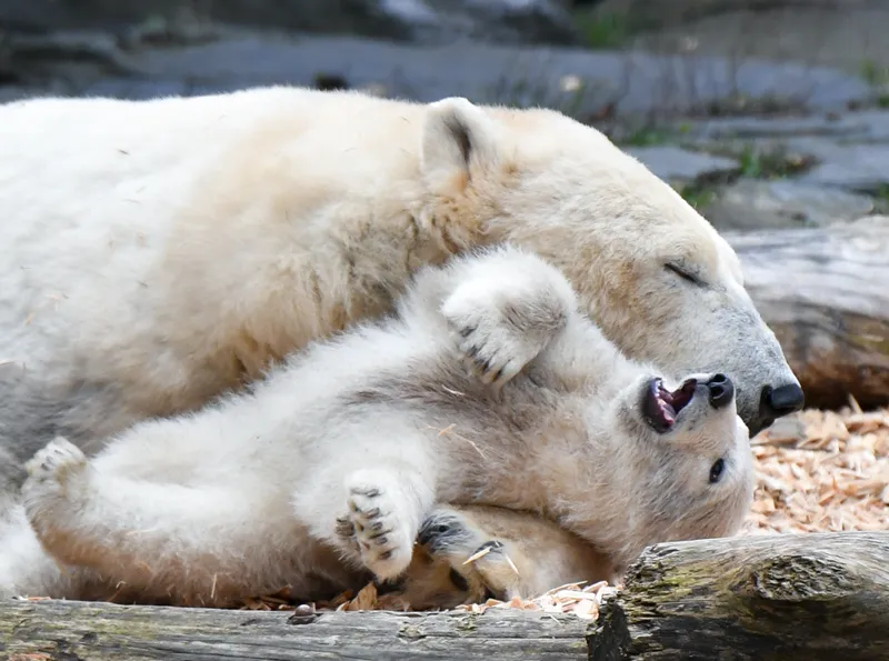 消费信贷产品示例