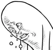 Adobe中国，请给我一个购买本土化正版的理由？